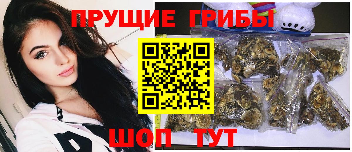 Галлюциногенные грибы Cubensis  Вход с VPN  Конаково 